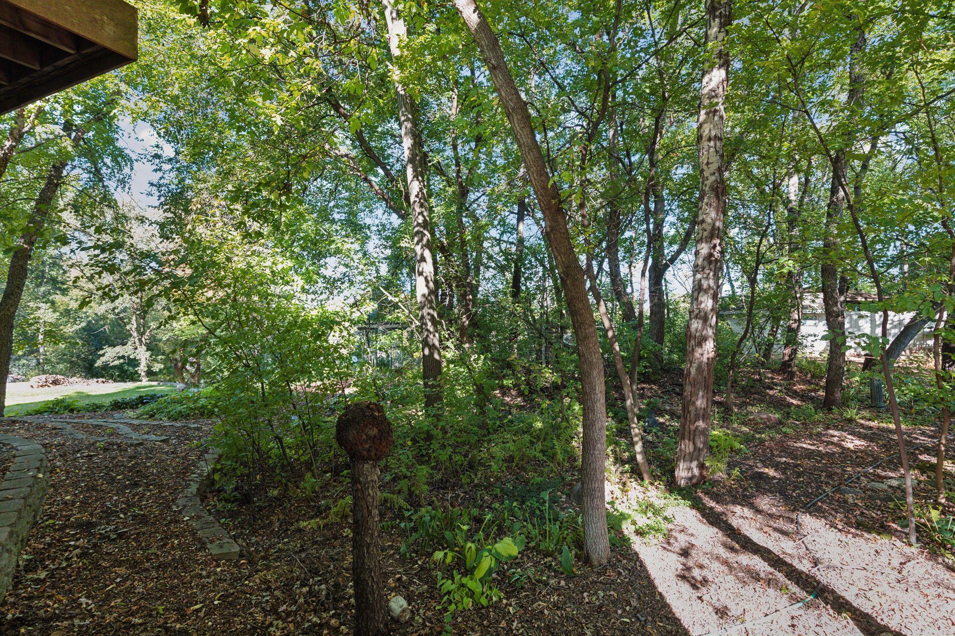 212 Interlachen Road Burnsville, MN 55306 - Photo 46 of 75