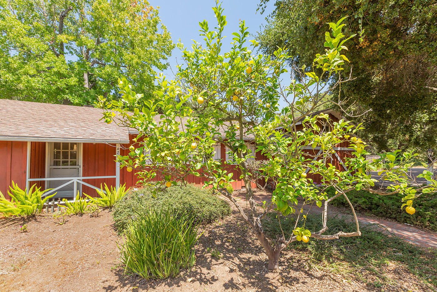 426 North Ontare Road Santa Barbara, CA 93105 - Photo 26 of 32 Fruit trees