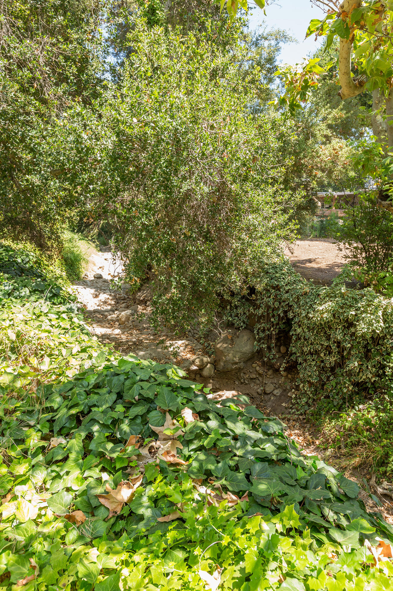 426 North Ontare Road Santa Barbara, CA 93105 - Photo 30 of 32 Creek view 1
