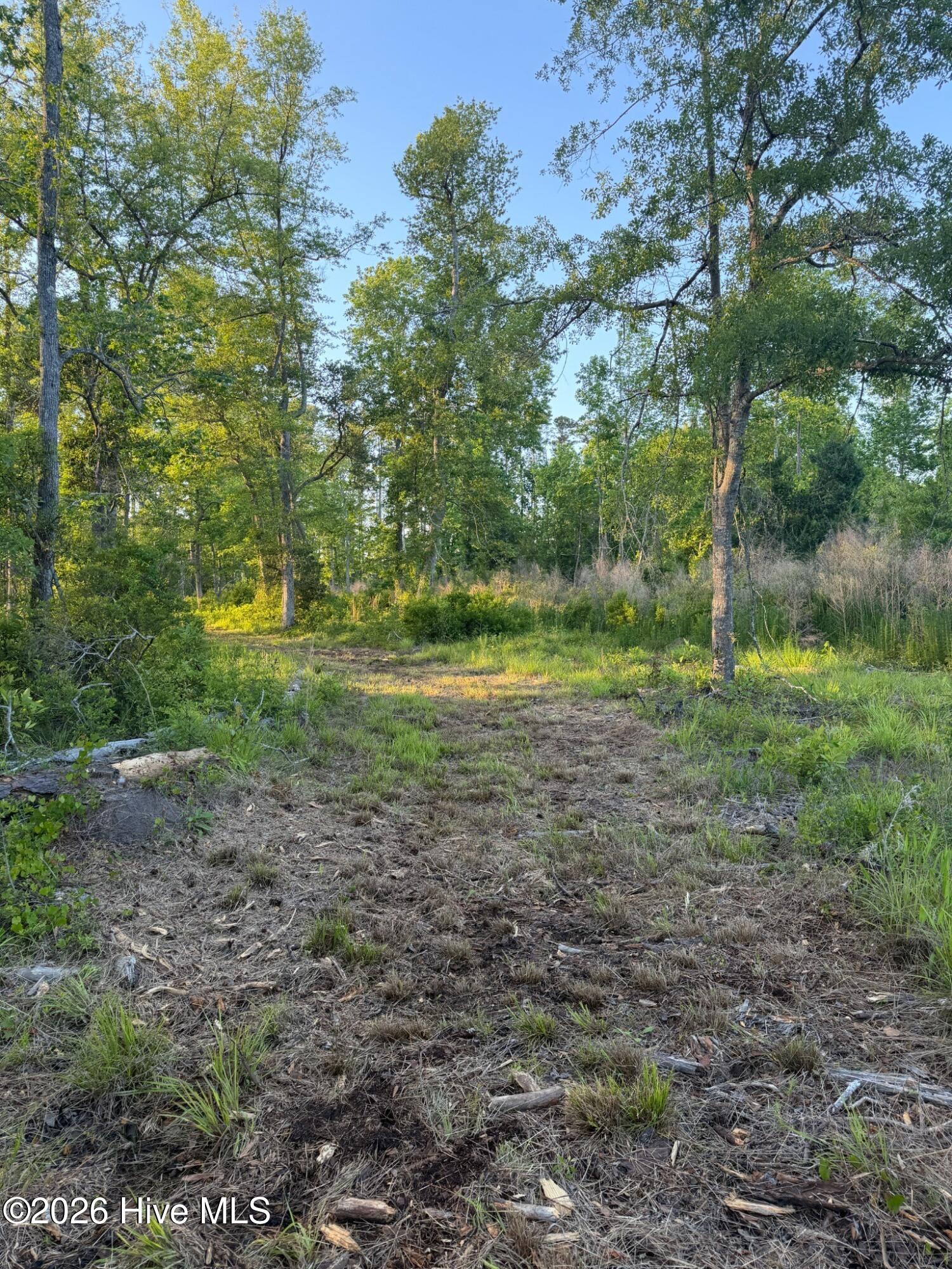 705 Russells Creek Road Beaufort, NC 28516 - Photo 28 of 36