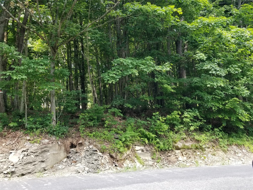 180 Brown Road Windsor, NY 13795 - Photo 2 of 2 Gallery Image 2