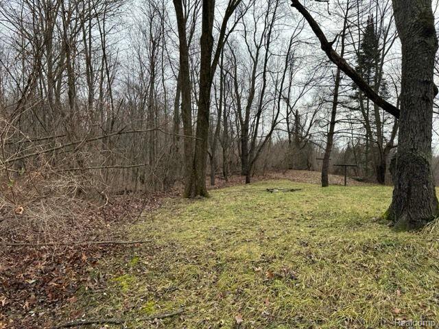 2.76 Perry Lake Road Ortonville, MI 48462 - Photo 3 of 8