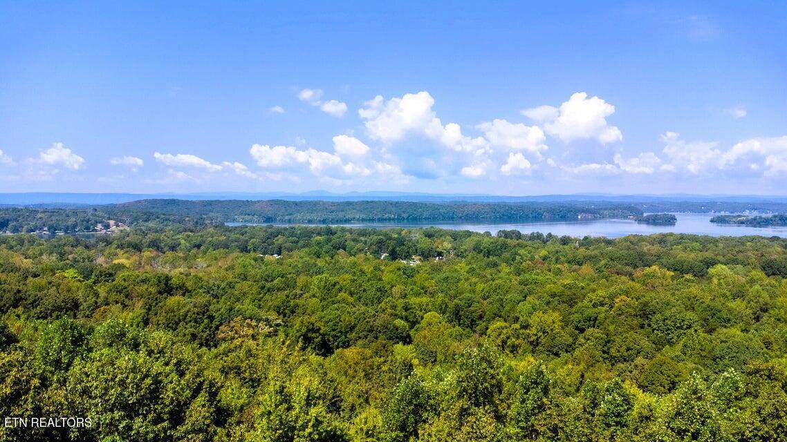 7 Pleasant Hill Road Ten Mile, TN 37880 - Photo 19 of 27 PH 7 Views from homesite
