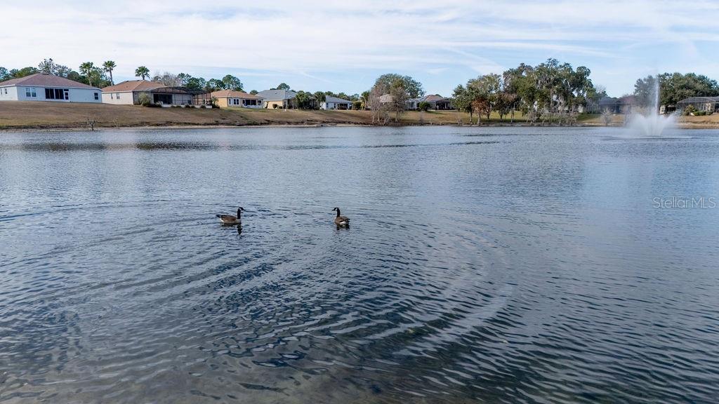 1338 Southwest 161st Place Ocala, FL 34473 - Photo 82 of 88 a view of a lake view