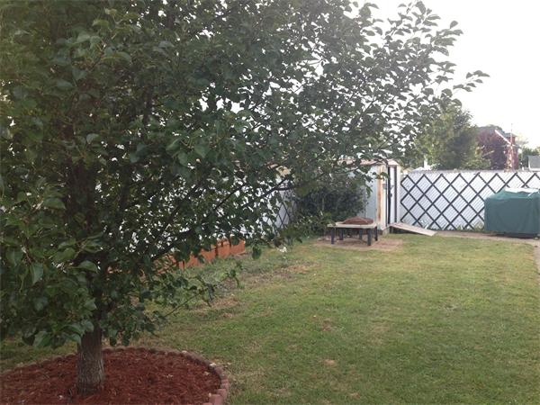 17 Meadowbrook Road Methuen, MA 01844 - Photo 21 of 22 Gallery Image 21