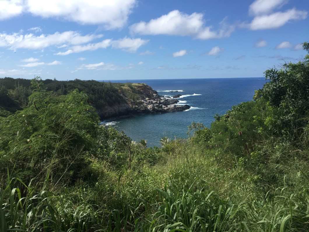 0 Kahiapo Place Haiku, HI 96708 - Photo 17 of 19