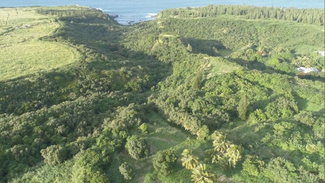 0 Kahiapo Place Haiku, HI 96708 - Photo 3 of 19 a map view of a forest