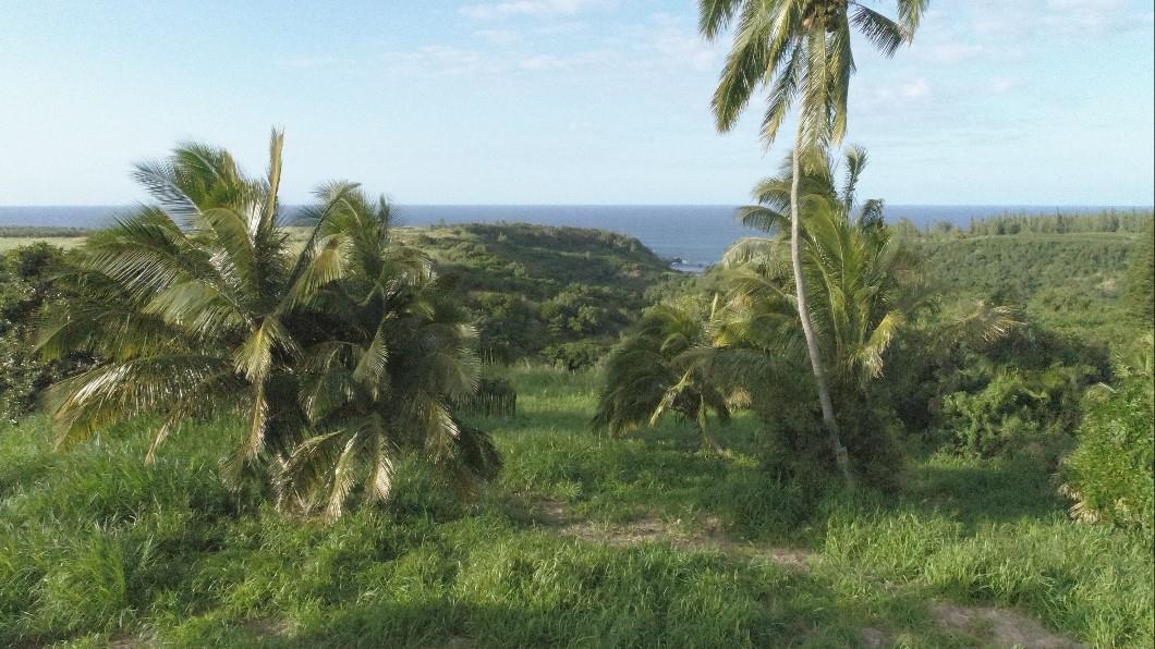 0 Kahiapo Place Haiku, HI 96708 - Photo 4 of 19 a view of a garden