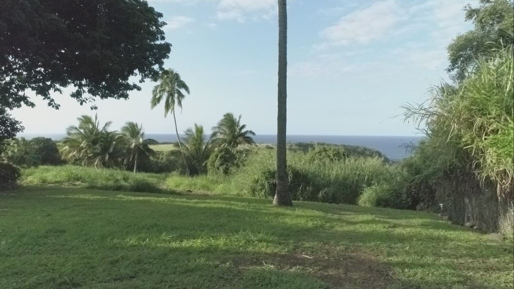 0 Kahiapo Place Haiku, HI 96708 - Photo 6 of 19 a view of a grassy field with a tree