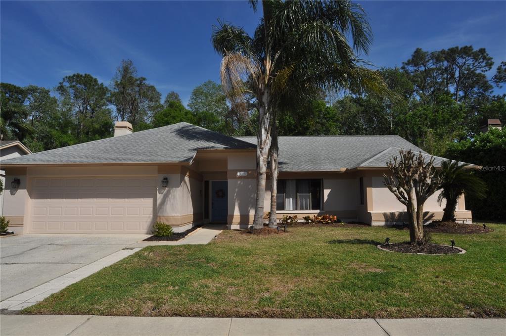 3189 Roxmere Drive Palm Harbor, FL 34685 - Photo 1 of 1