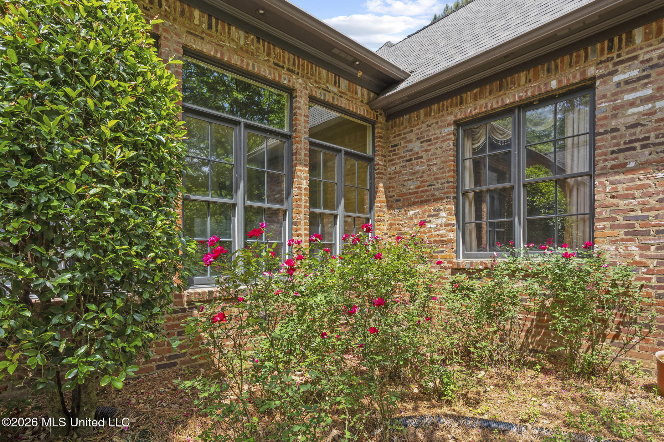 130 Bridgewater Crossing Ridgeland, MS 39157 - Photo 43 of 48 130 Bridgewater Crossing-11