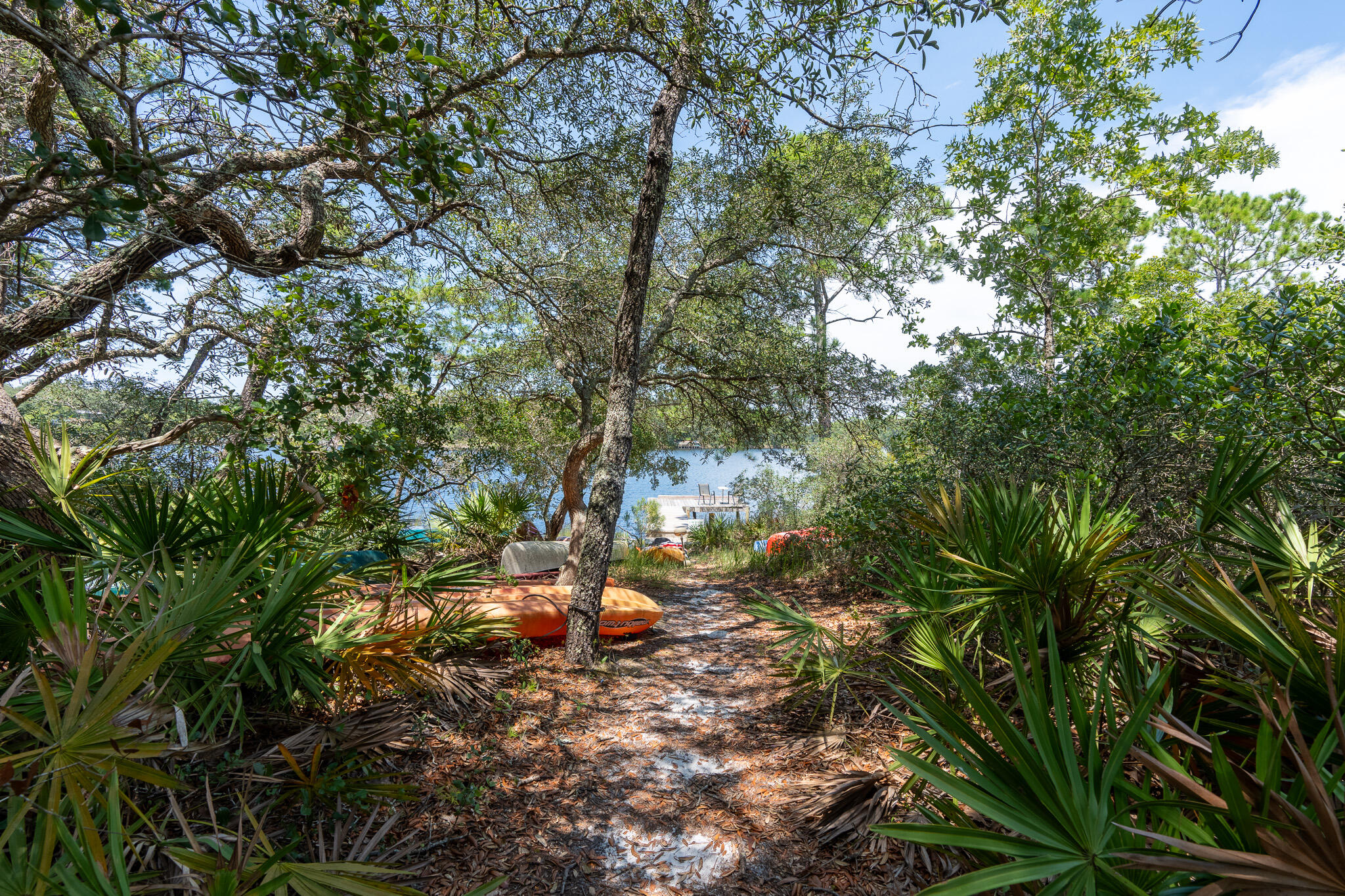 34 Heron's Watch Way, Unit 5205 Santa Rosa Beach, FL 32459 - Photo 44 of 50 a backyard of a house with a tree