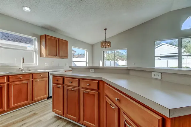 $2,650 | 13431 White Elk Loop, Tampa, FL 33626