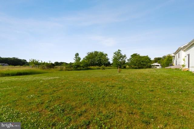 875 Crow Pond Road Elmer, NJ 08318 - Photo 23 of 25 Gallery Image 23
