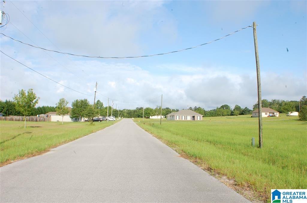 1 County Road 951, Unit 1 Clanton, AL 35045 - Photo 2 of 7