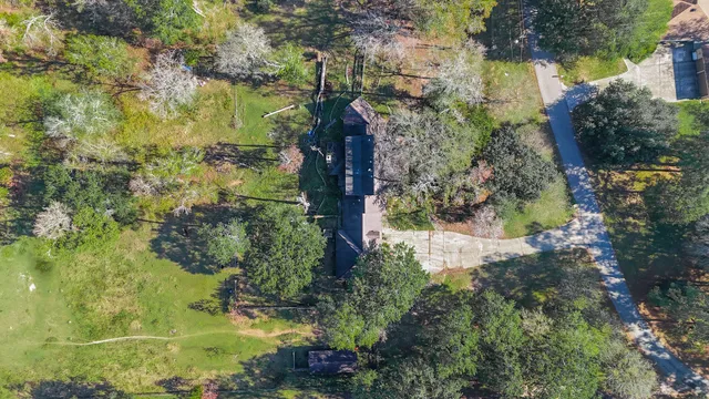 a view of a garden with plants