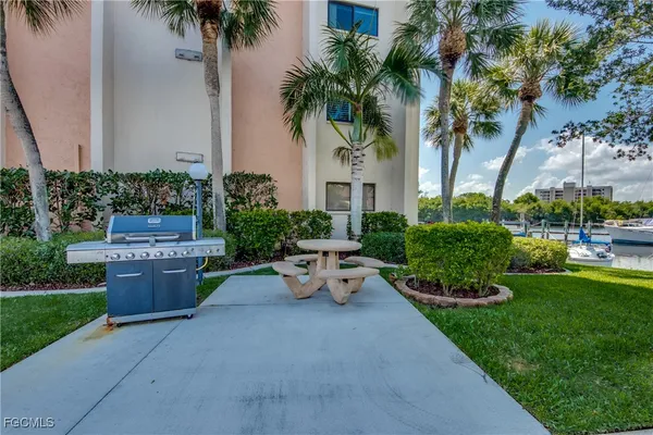 a view of a backyard with plants and a garden
