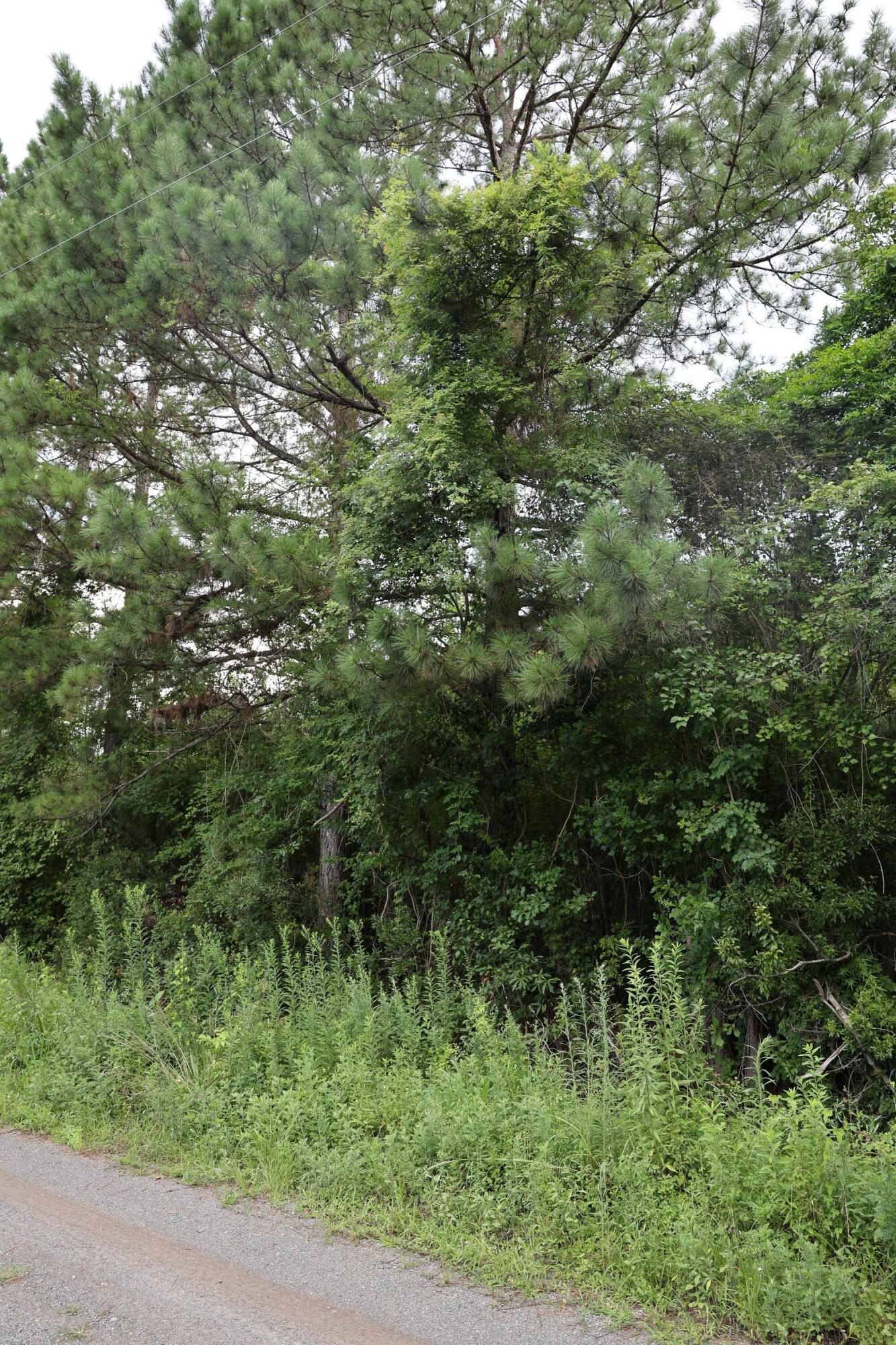 45 Partridge Road Kingstree, SC 29556 - Photo 4 of 5 J13A1334