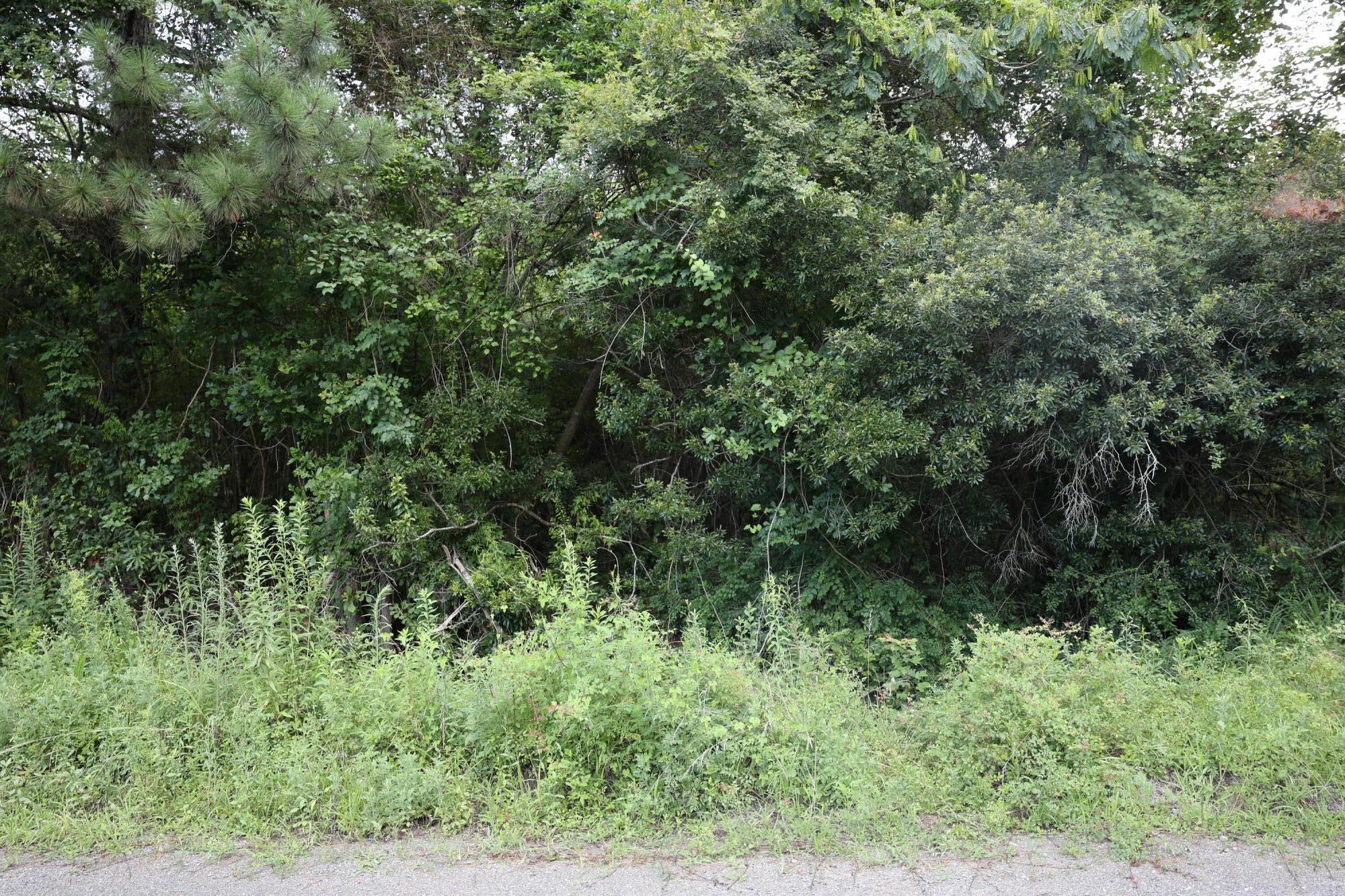 45 Partridge Road Kingstree, SC 29556 - Photo 5 of 5 J13A1335