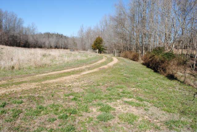 2900 Dee O'Guin Road Centerville, TN 37033 - Photo 13 of 20 Drive in