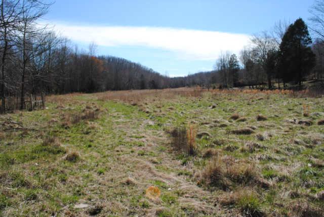 2900 Dee O'Guin Road Centerville, TN 37033 - Photo 15 of 20 View 1 of pasture