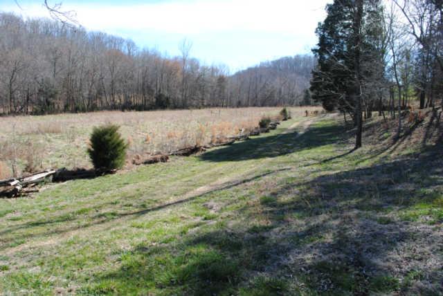 2900 Dee O'Guin Road Centerville, TN 37033 - Photo 19 of 20 View 3 of pasture