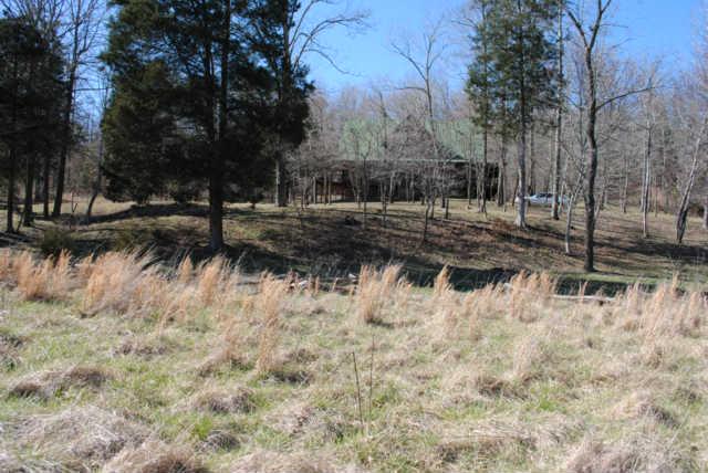 2900 Dee O'Guin Road Centerville, TN 37033 - Photo 20 of 20 View 4 of pasture