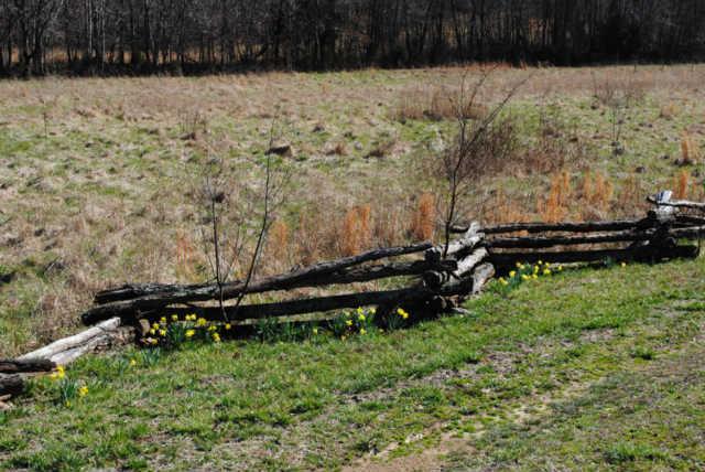 2900 Dee O'Guin Road Centerville, TN 37033 - Photo 3 of 20 On the circular drive to the house