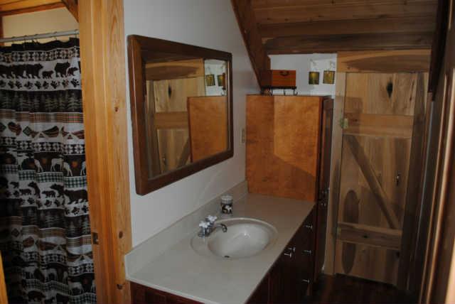 2900 Dee O'Guin Road Centerville, TN 37033 - Photo 9 of 20 Upstairs bath