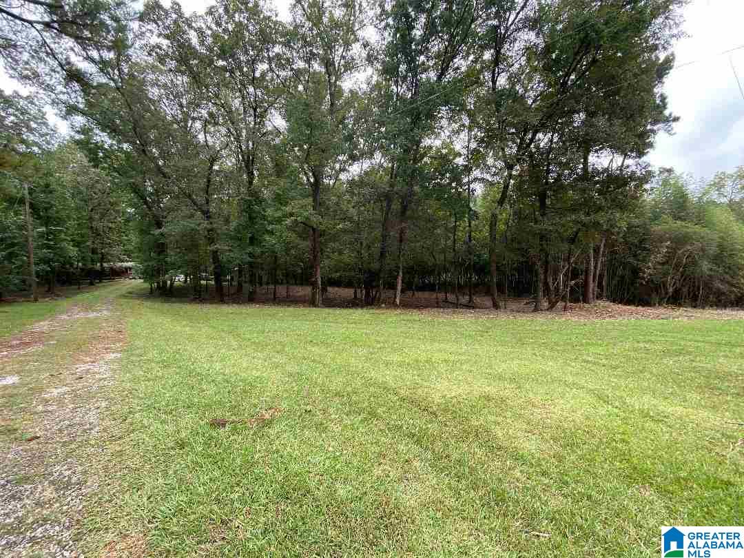 2255 Lost Creek Road Carbon Hill, AL 35549 - Photo 18 of 18