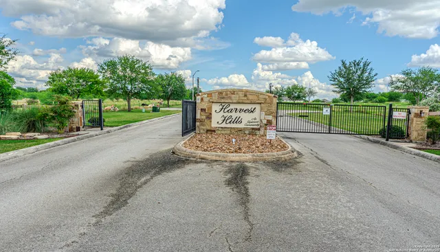 a view of a park with large trees