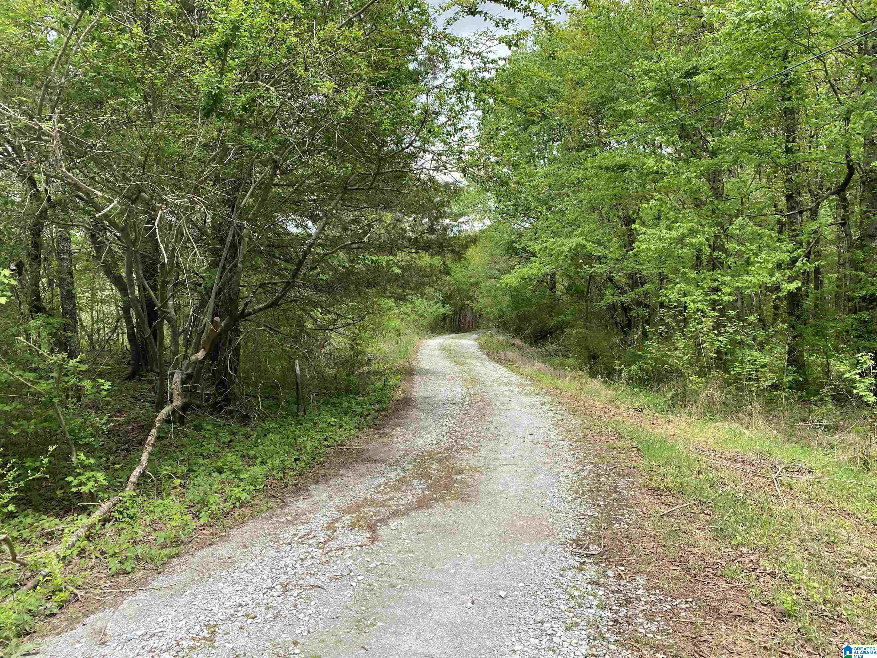 2499 Carter Grove Road, Unit 1 Hazel Green, AL 35750 - Photo 7 of 10