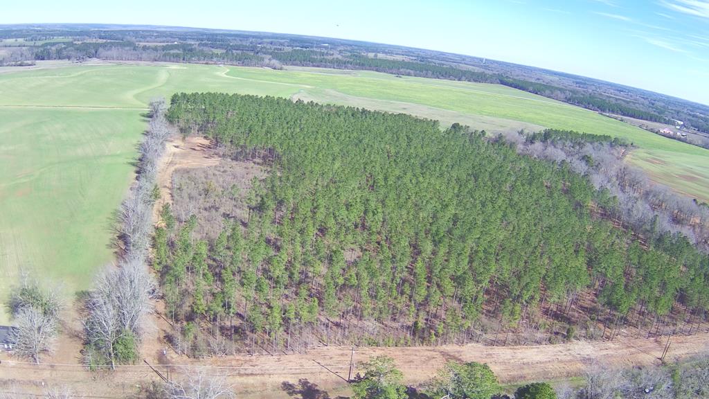 1 Ozark Road Newville, AL 36353 - Photo 3 of 4