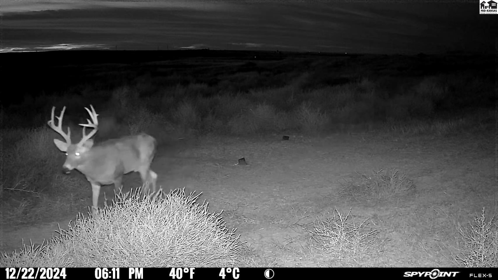 0 M Road Burdett, KS 67523 - Photo 13 of 50 Gallery Image 13