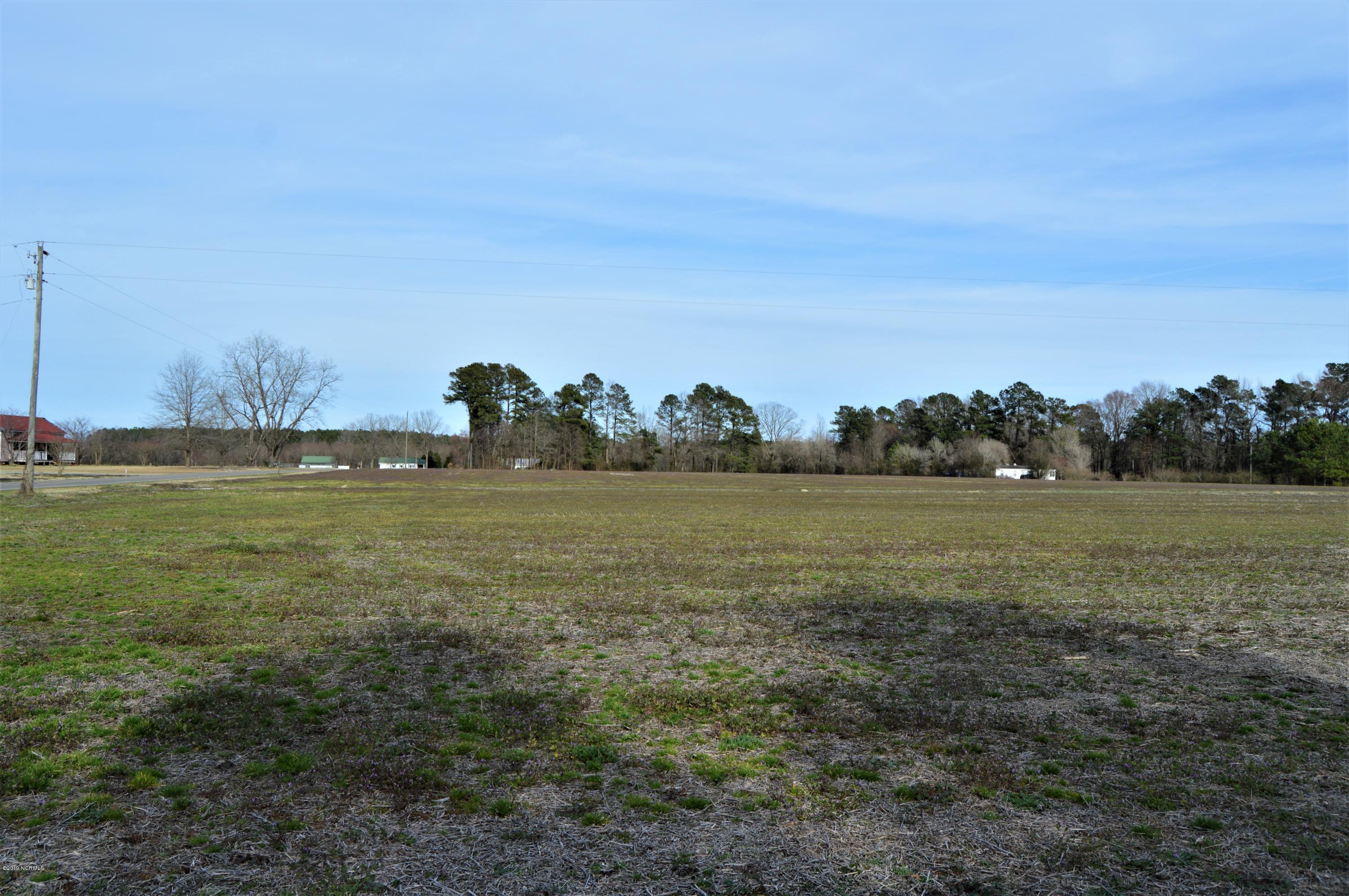 Lot 1 Test Farm Road Willard, NC 28478 - Photo 2 of 6 field 2