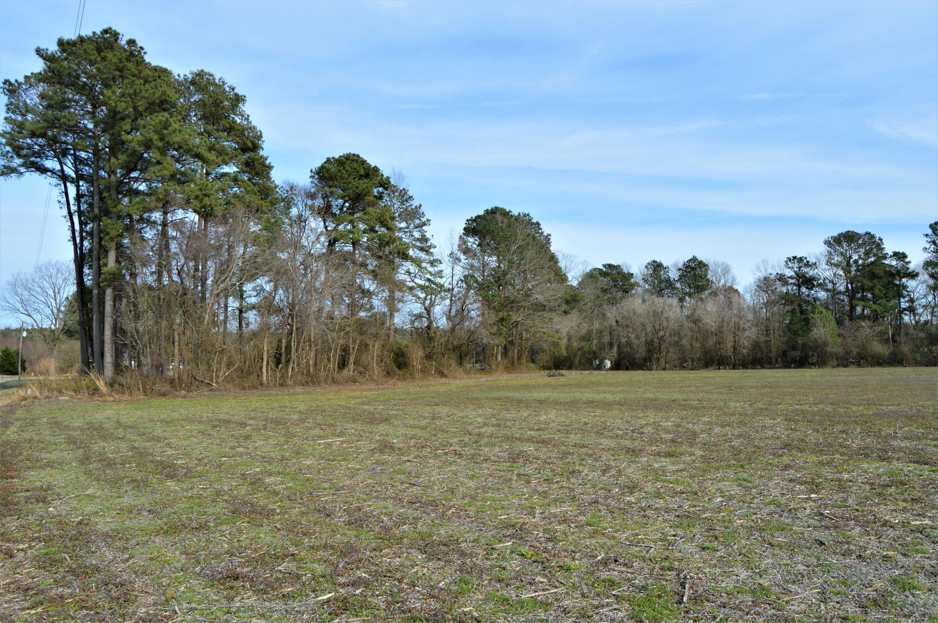 Lot 1 Test Farm Road Willard, NC 28478 - Photo 3 of 6 field 3