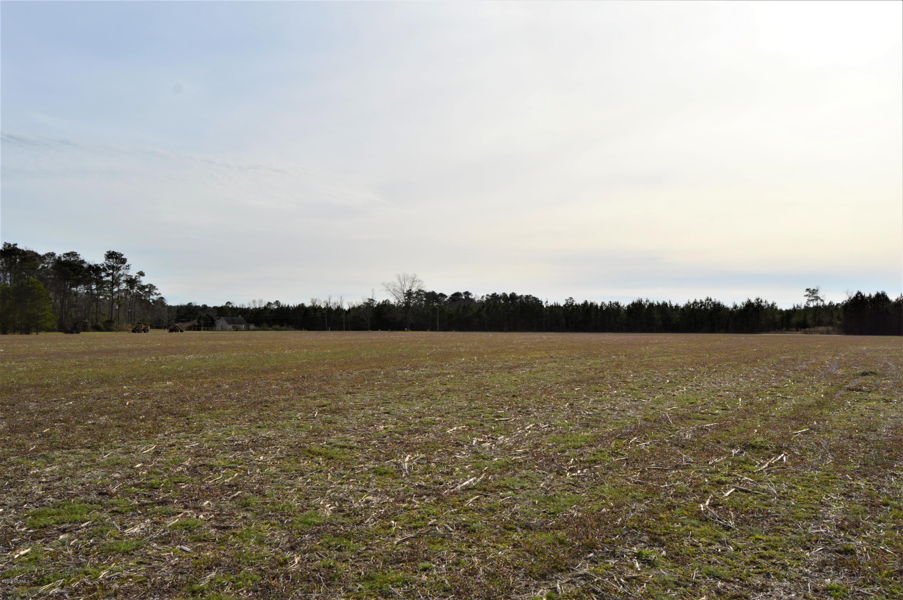 Lot 1 Test Farm Road Willard, NC 28478 - Photo 4 of 6 field 4