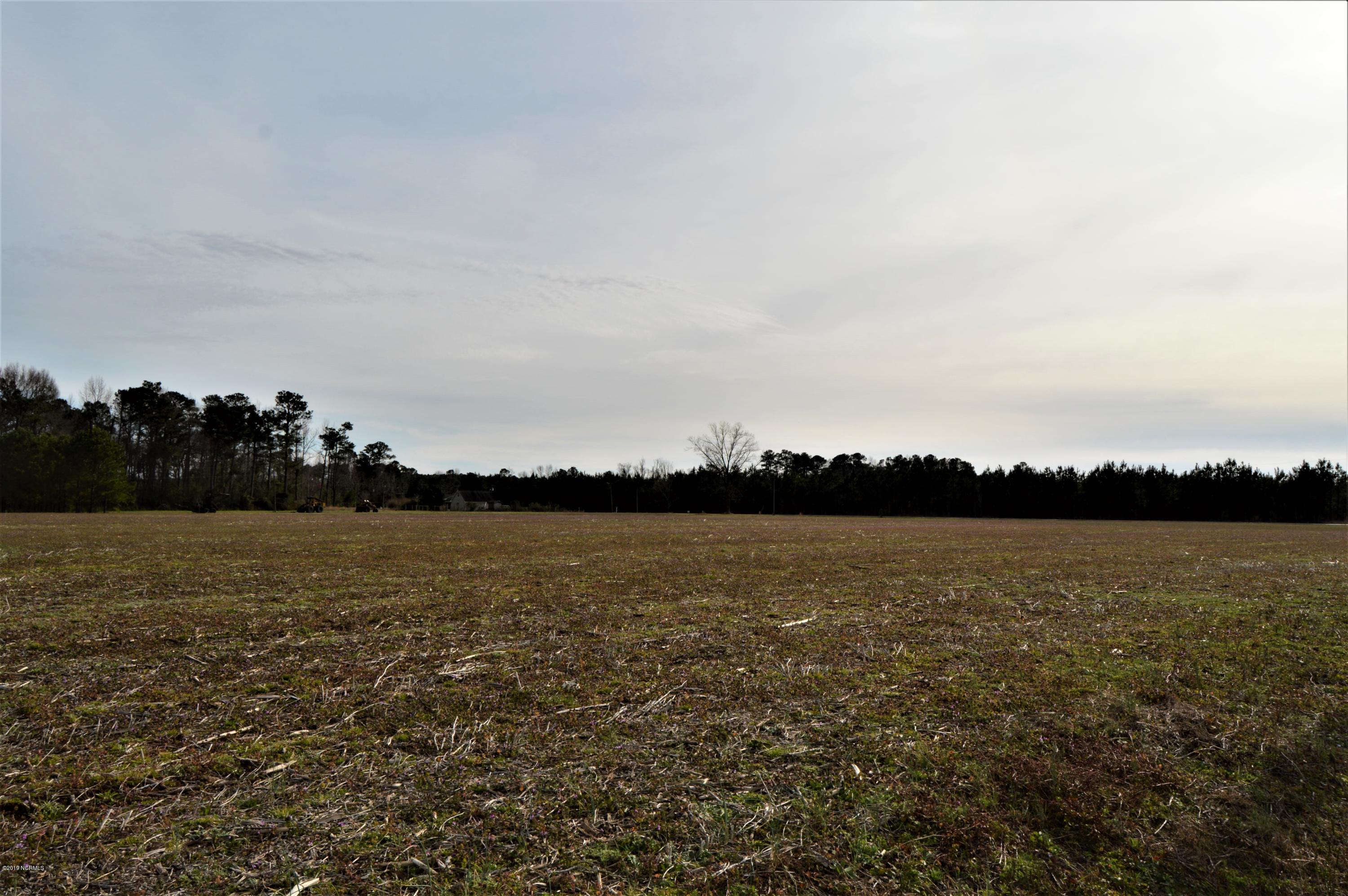 Lot 1 Test Farm Road Willard, NC 28478 - Photo 5 of 6 field 5