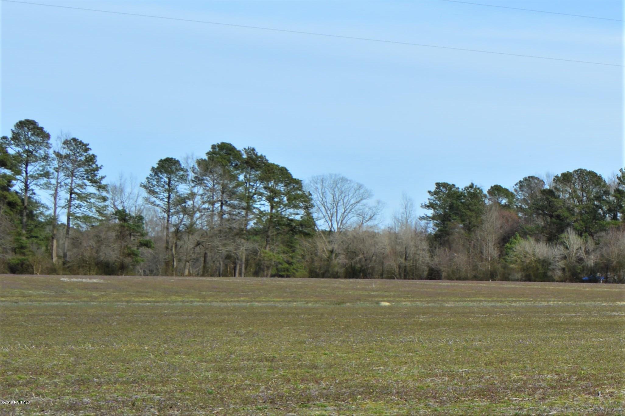 Lot 1 Test Farm Road Willard, NC 28478 - Photo 6 of 6 field