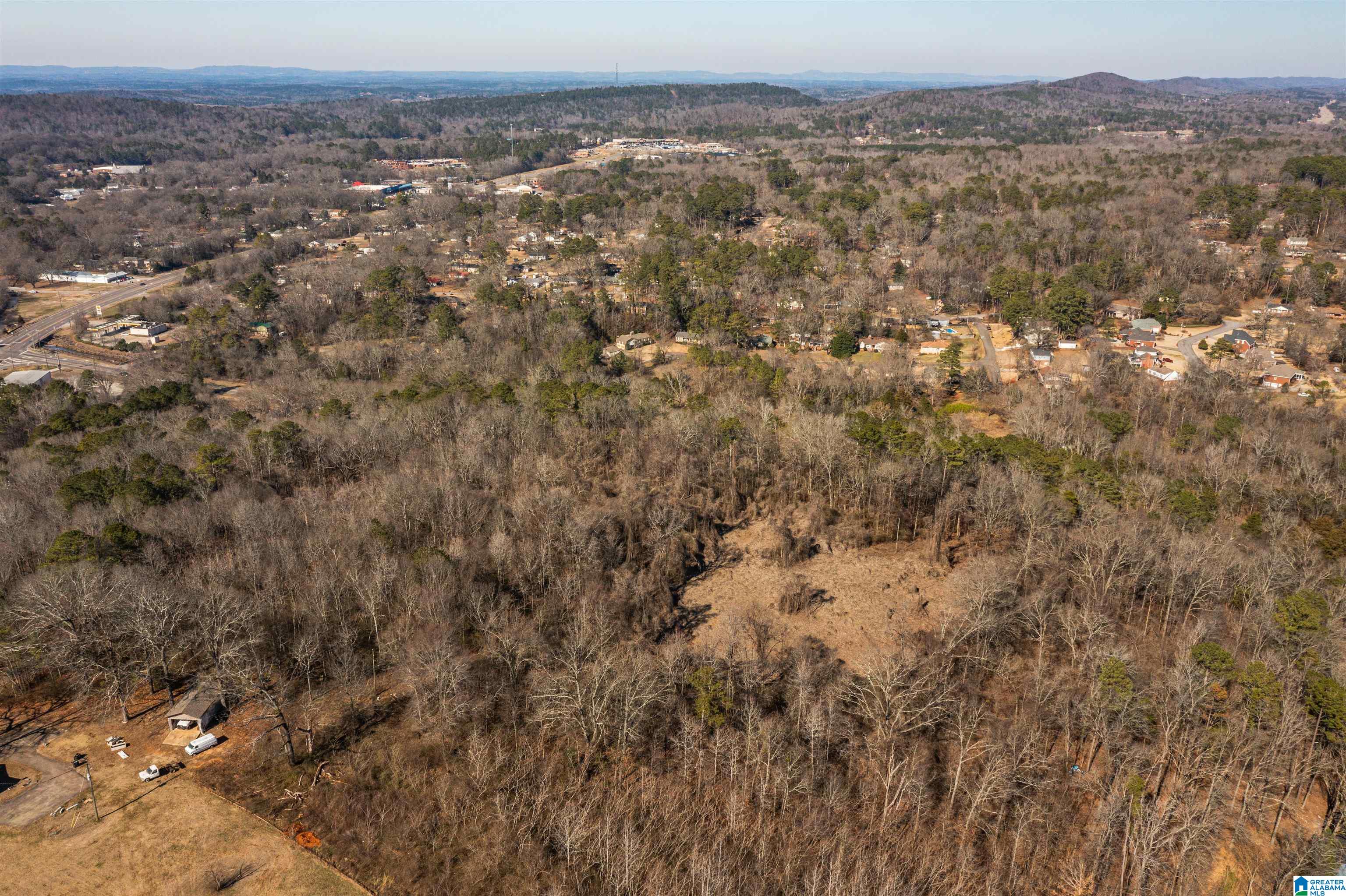 4392 Buzbee Road, Unit 1 Pinson, AL 35126 - Photo 13 of 27