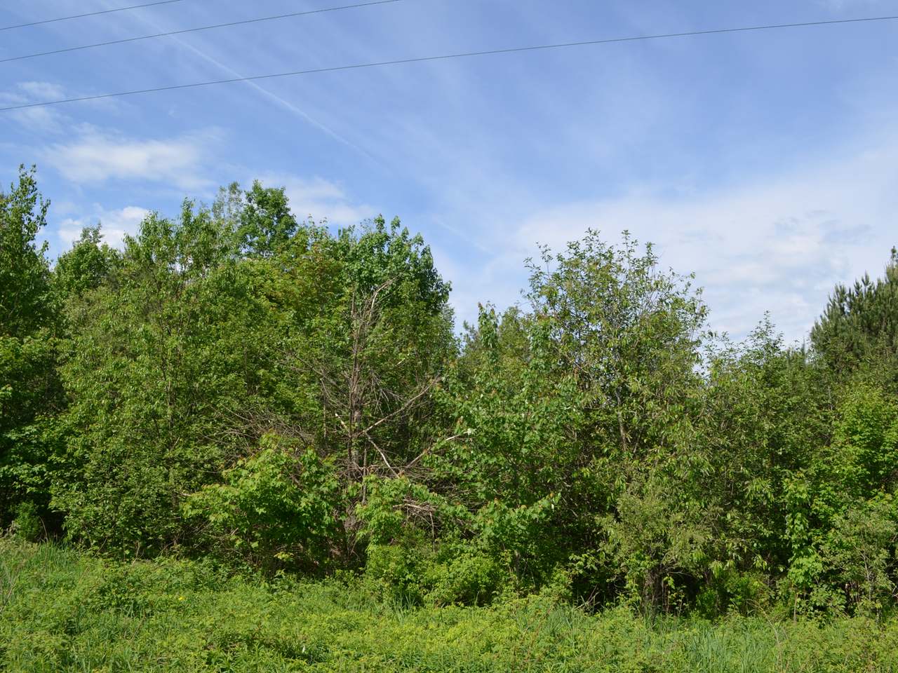 On Ogema-Prentice Road Ogema, WI 54459 - Photo 4 of 20 Gallery Image 4