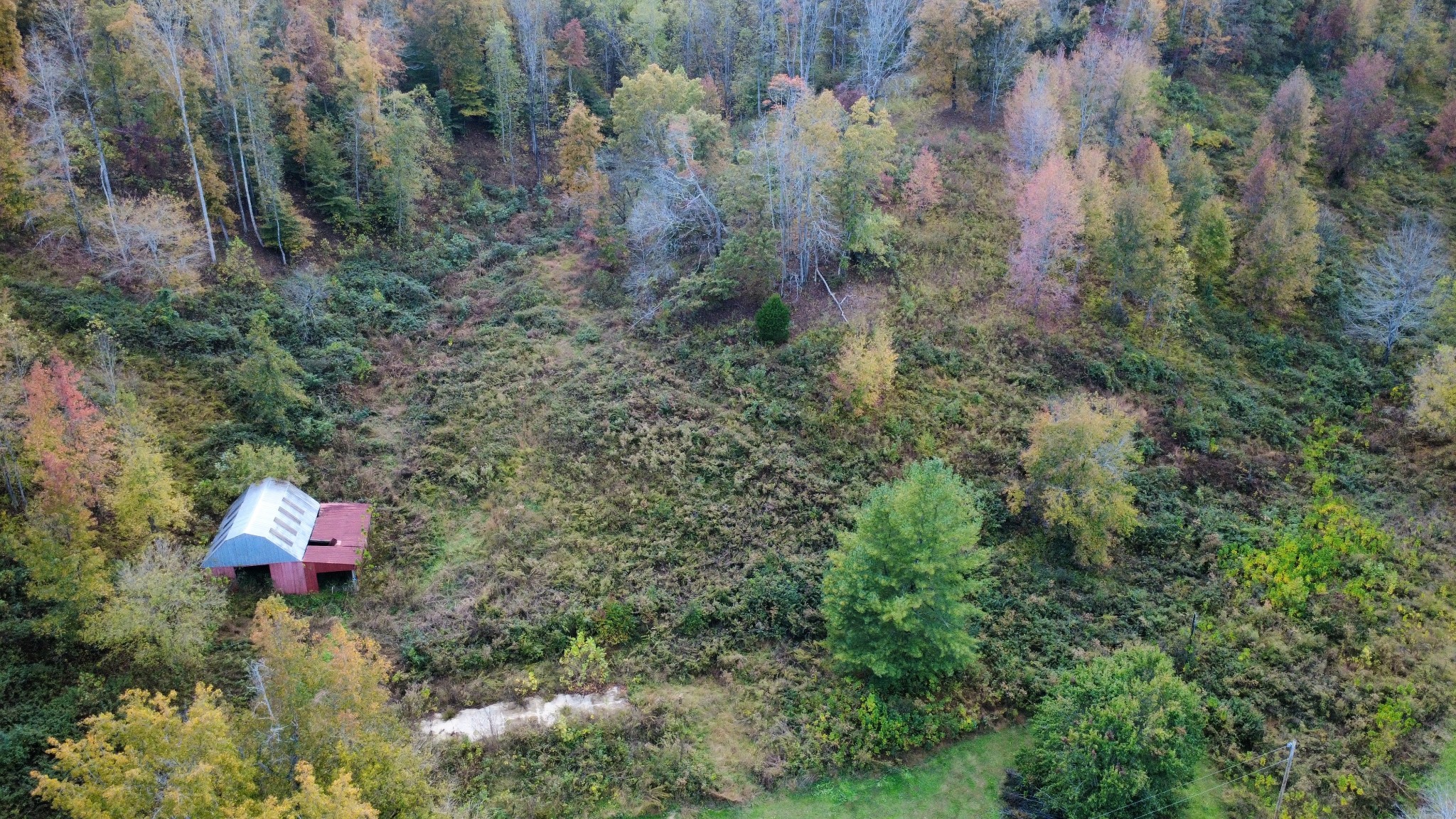 440 Big Spring Hollow Road Pulaski, TN 38478 - Photo 3 of 7