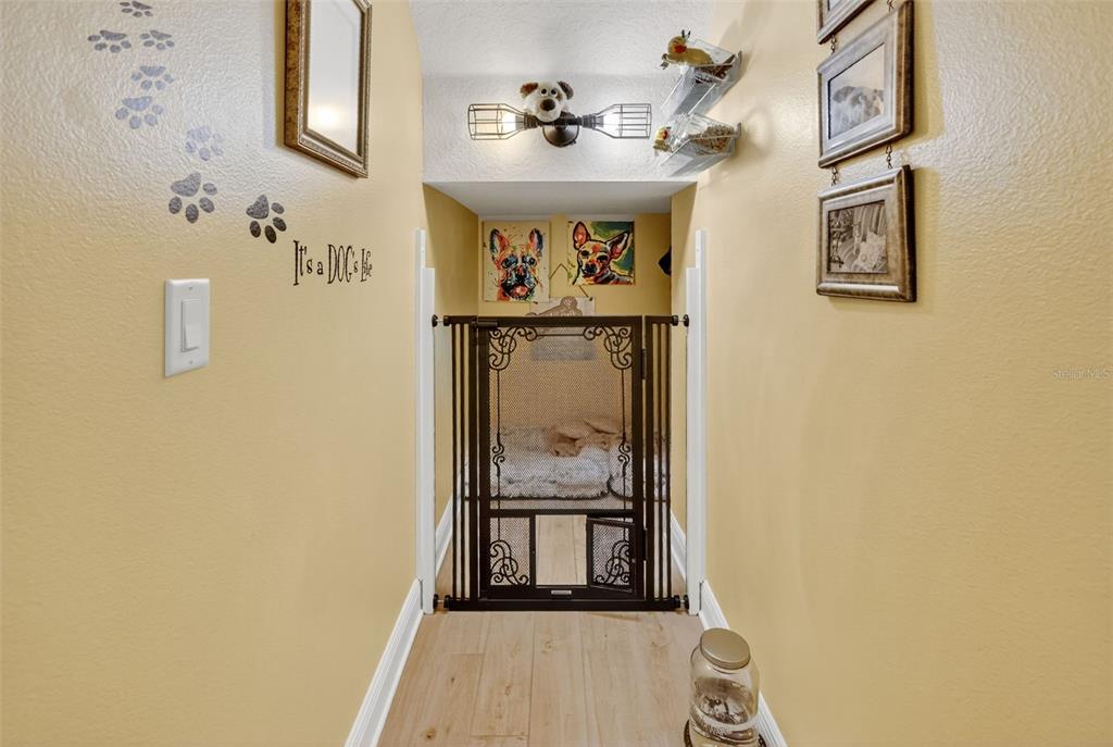 404 Long And Winding Road Howey-in-the-Hills, FL 34737 - Photo 39 of 68