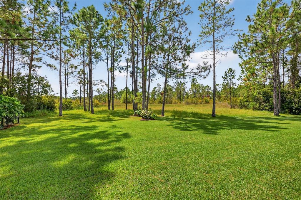 404 Long And Winding Road Howey-in-the-Hills, FL 34737 - Photo 61 of 68