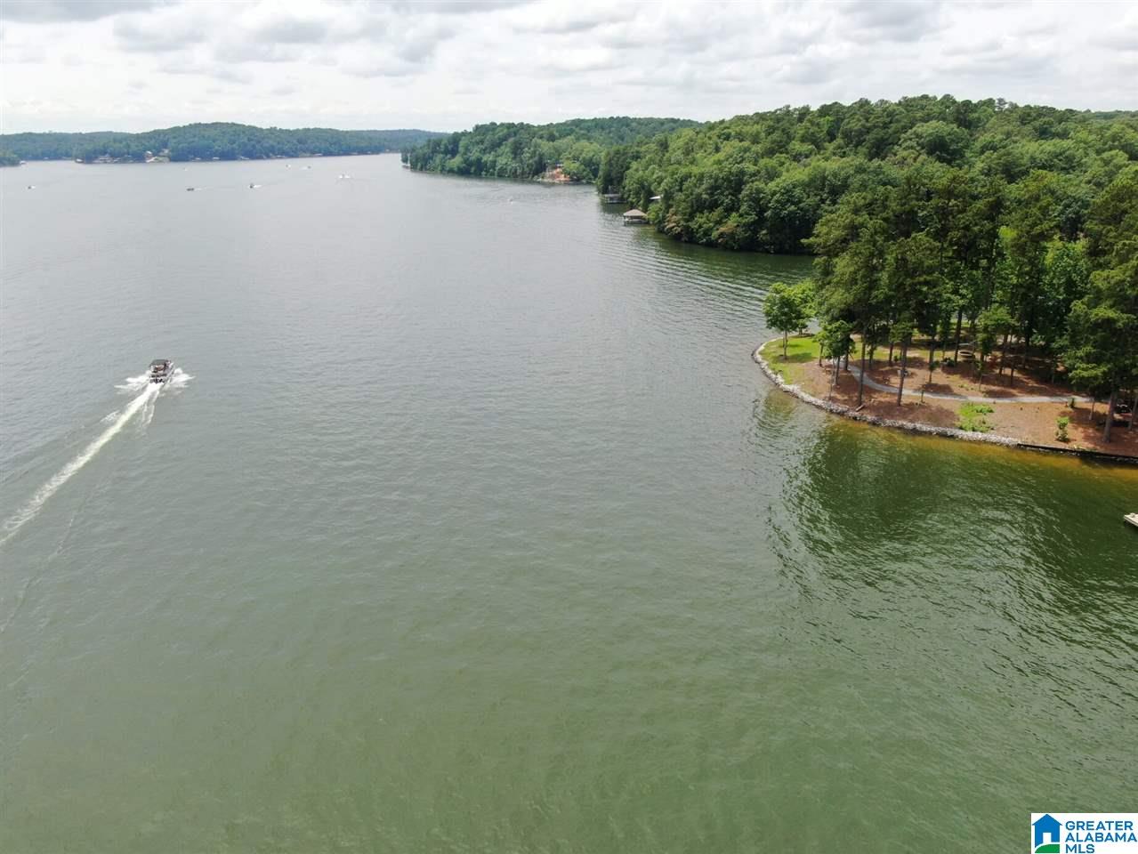800 Black Acres Road Cropwell, AL 35054 - Photo 13 of 44