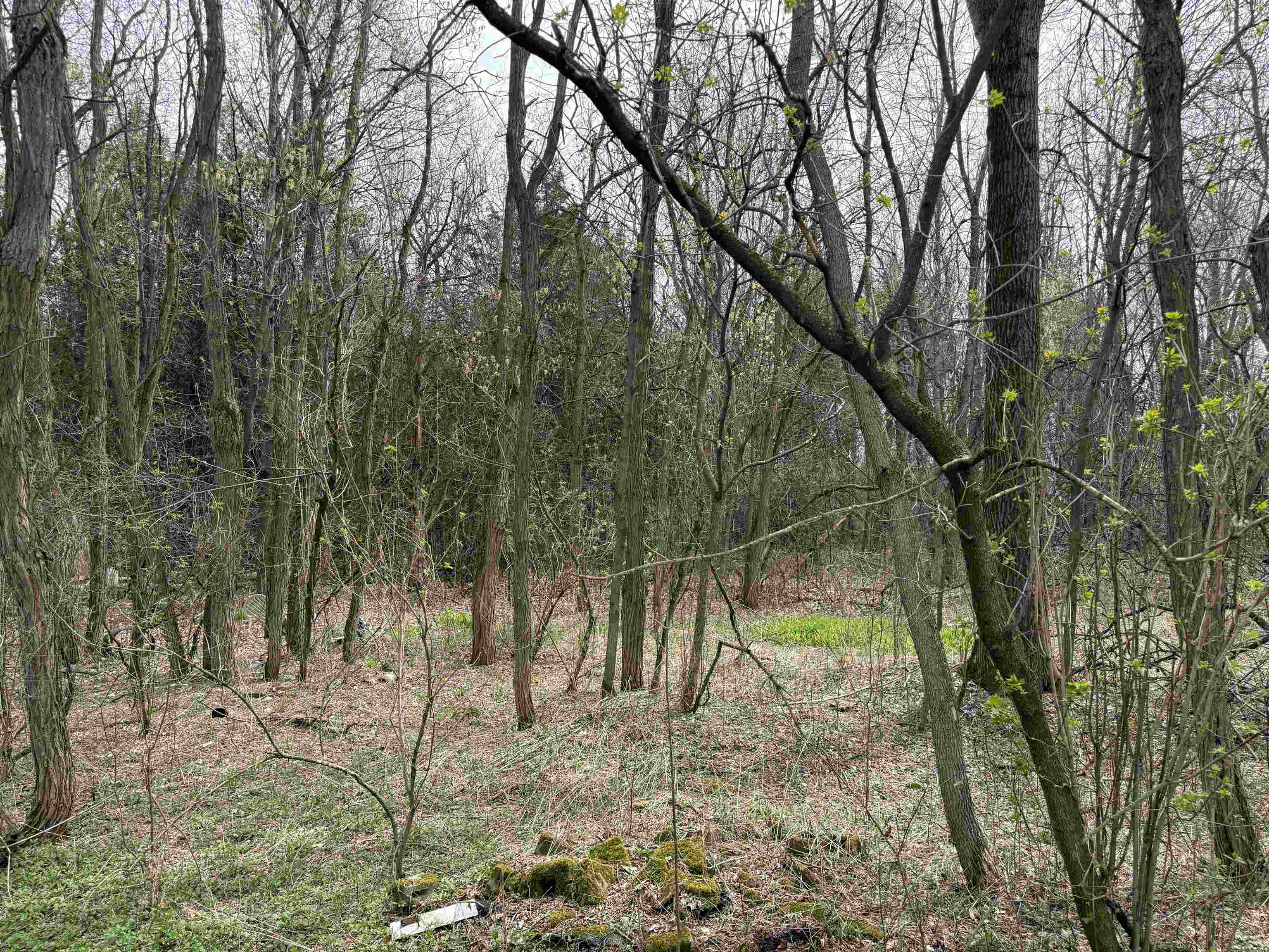 54 Adams School Road Grand Isle, VT 05458 - Photo 4 of 4