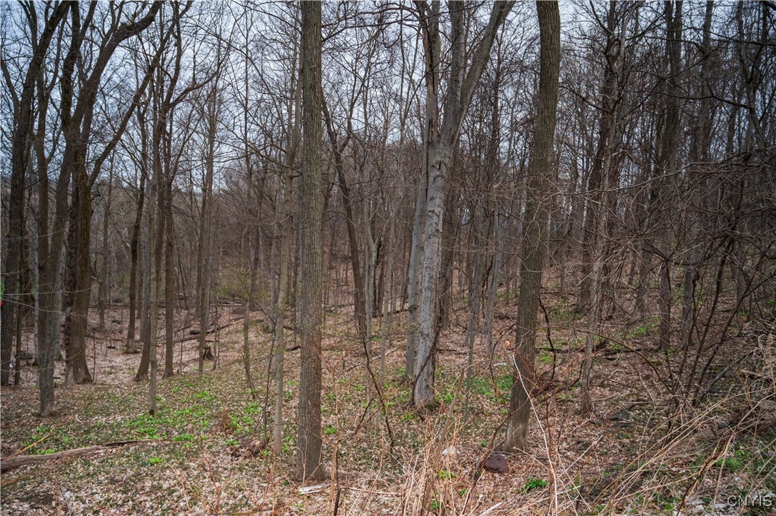 0 Brewer Road Oneida, NY 13421 - Photo 11 of 22