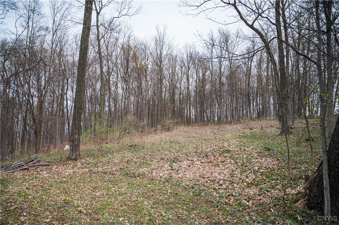 0 Brewer Road Oneida, NY 13421 - Photo 12 of 22