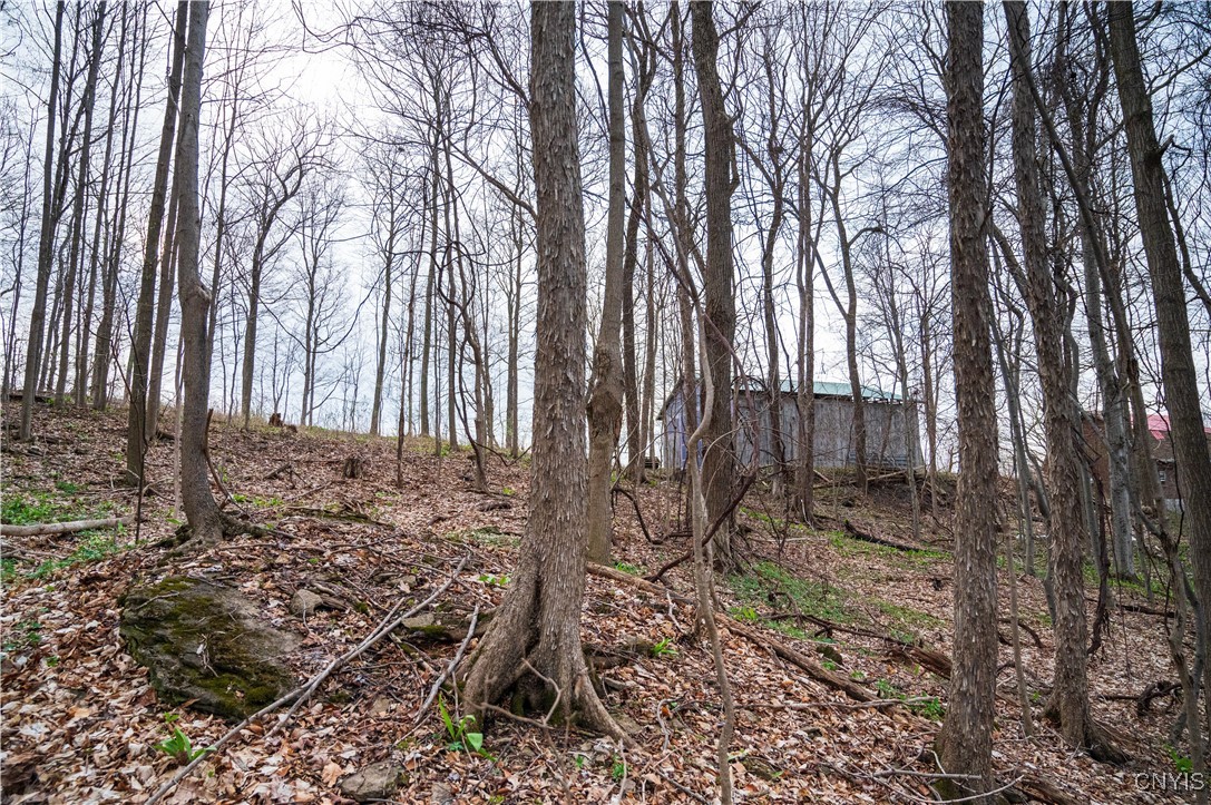 0 Brewer Road Oneida, NY 13421 - Photo 16 of 22