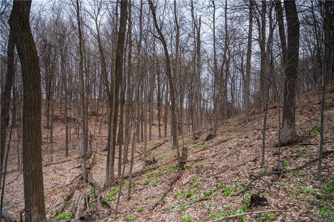 0 Brewer Road Oneida, NY 13421 - Photo 17 of 22